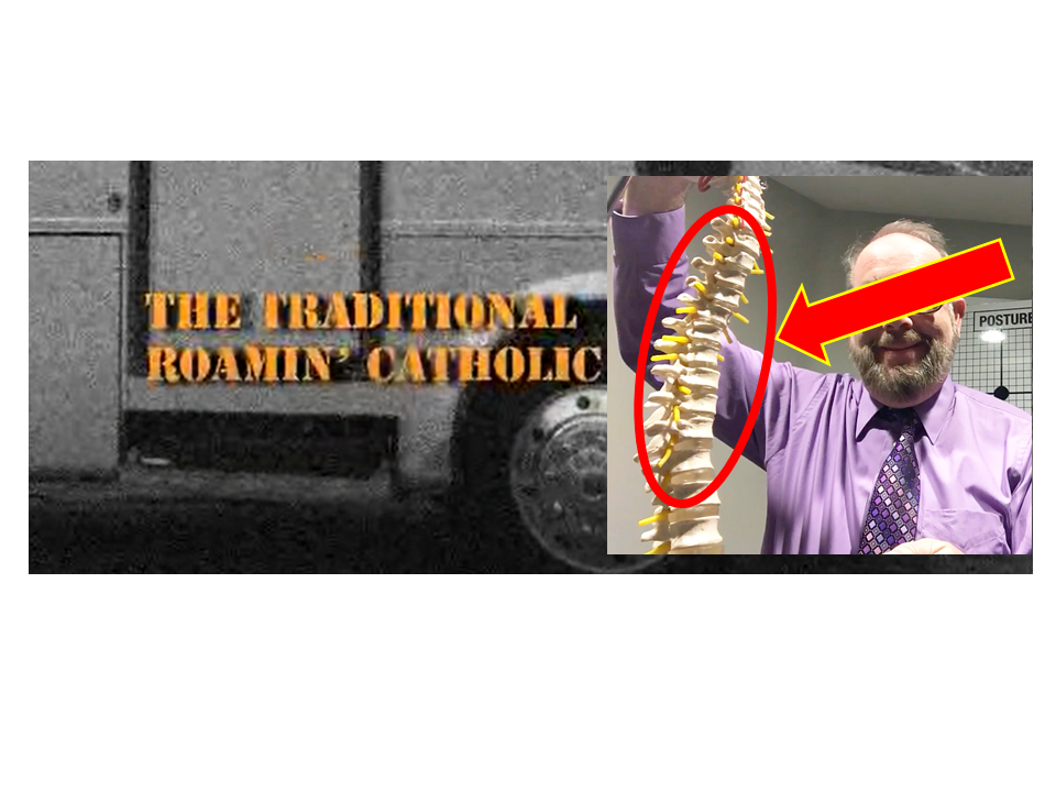 Man holding up life sized model of human backbone.